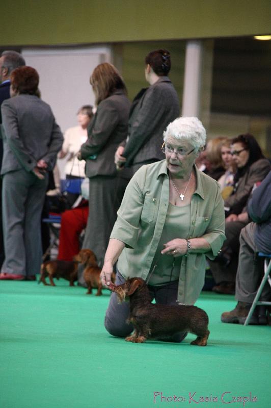 Crufts2011_2 1431.jpg